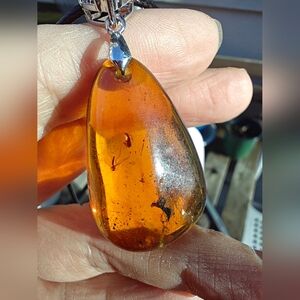 132 Rare Natural Baltic Amber with Prehistoric Insect Inclus